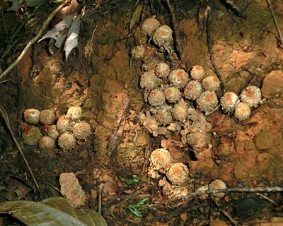 e0035757_00275280.jpg