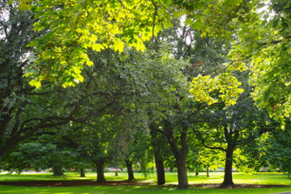 c0242063_2384830.jpg
