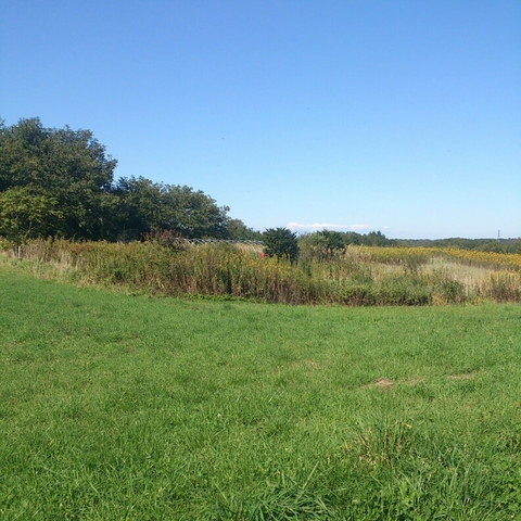 c0311170_14161330.jpg