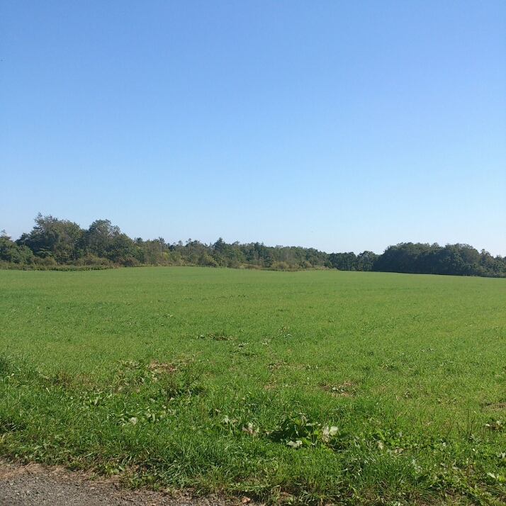 c0311170_14181613.jpg