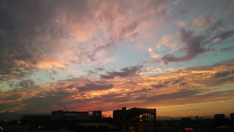 d0177473_15391479.jpg