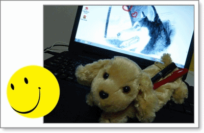 b0085874_21433037.gif