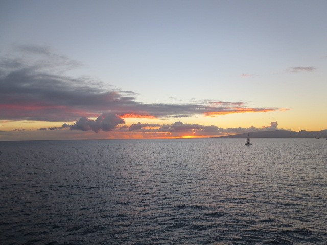 d0264176_17384080.jpg