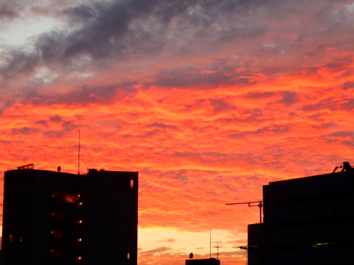 f0054677_06511778.jpg