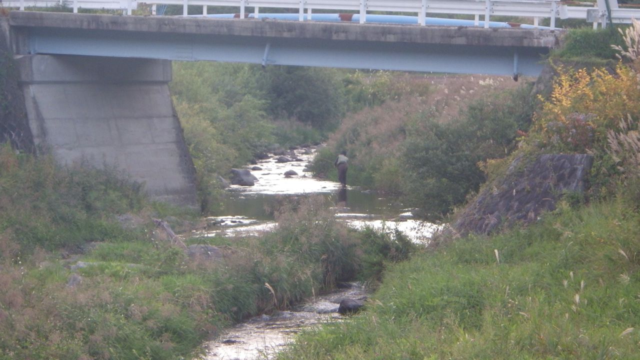 f0124378_22185578.jpg