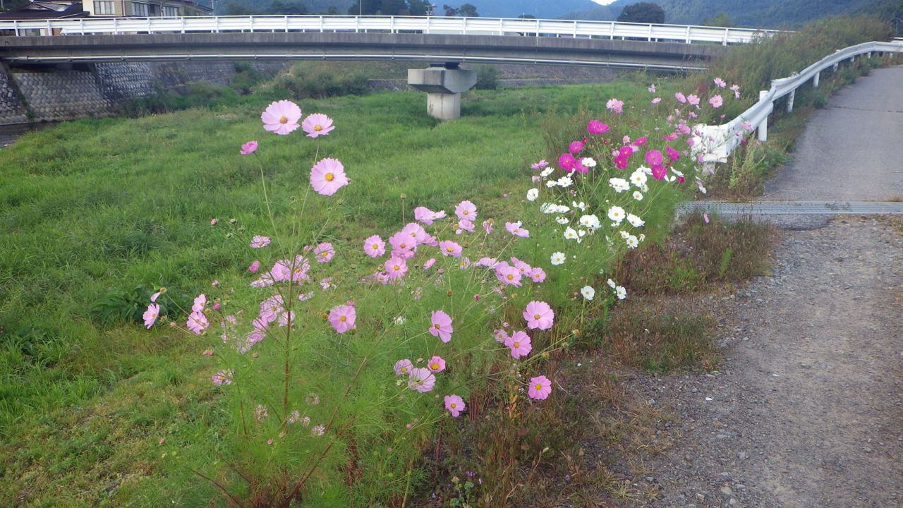 f0124378_2219871.jpg