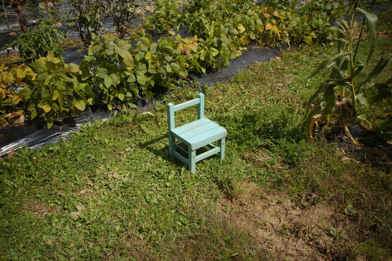 f0124378_22303135.jpg
