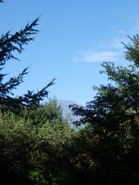 f0328483_8574118.jpg
