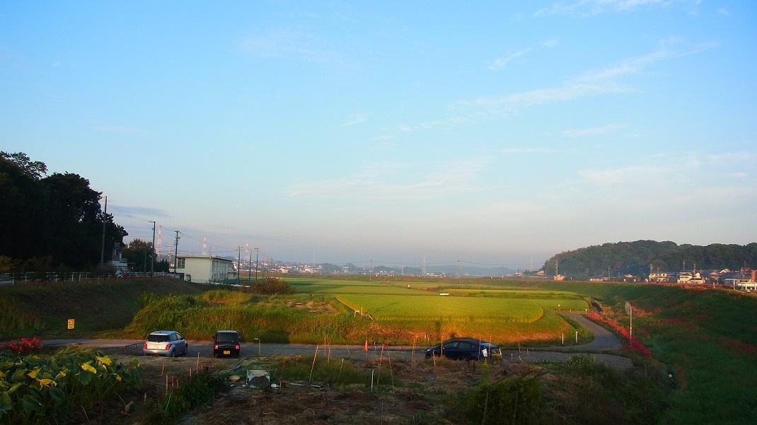 f0346184_17495437.jpg