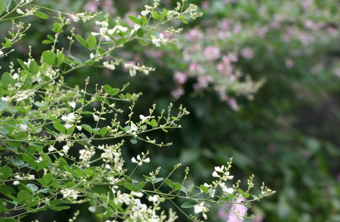 c0144185_10445174.jpg