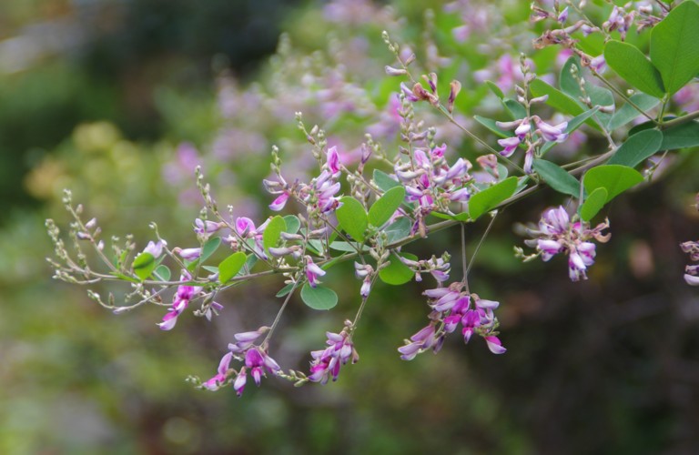 c0144185_1154161.jpg