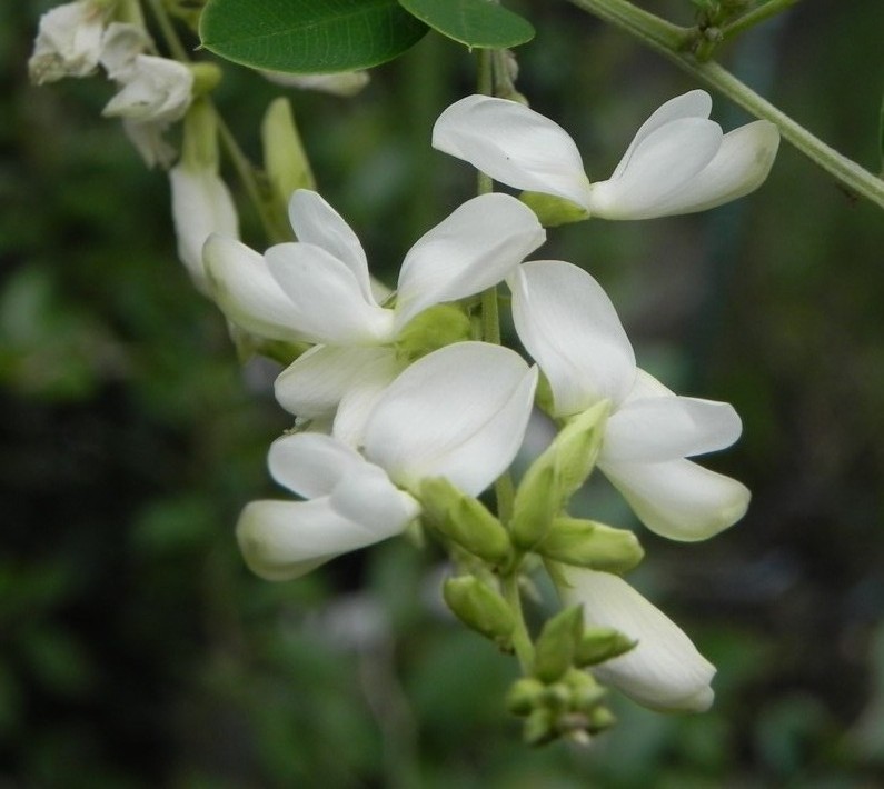 c0144185_14241590.jpg