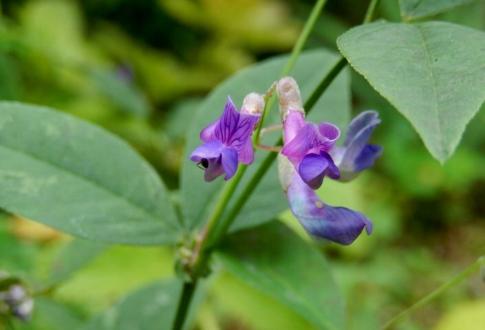 c0144185_14302445.jpg