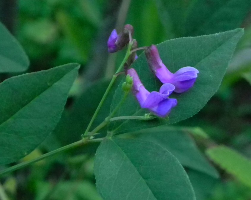 c0144185_14303287.jpg