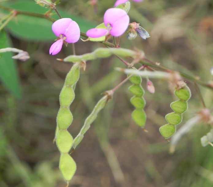 c0144185_14453100.jpg