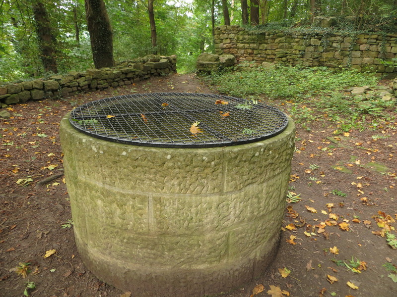 c0025187_17102572.jpg