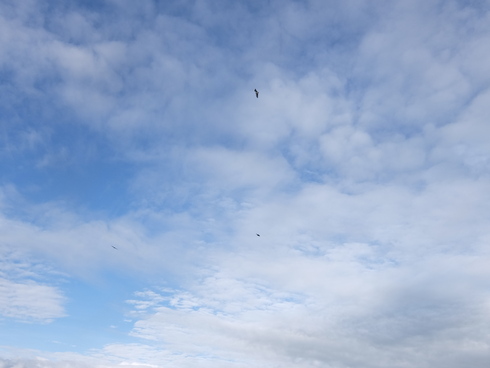 a0207588_10582421.jpg