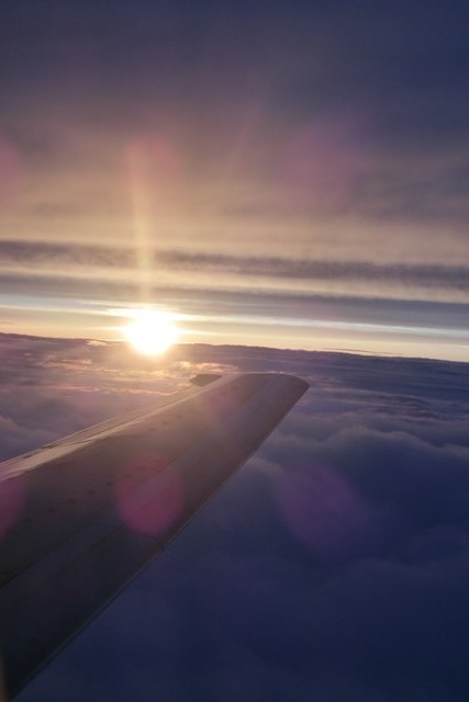 d0181492_2255762.jpg