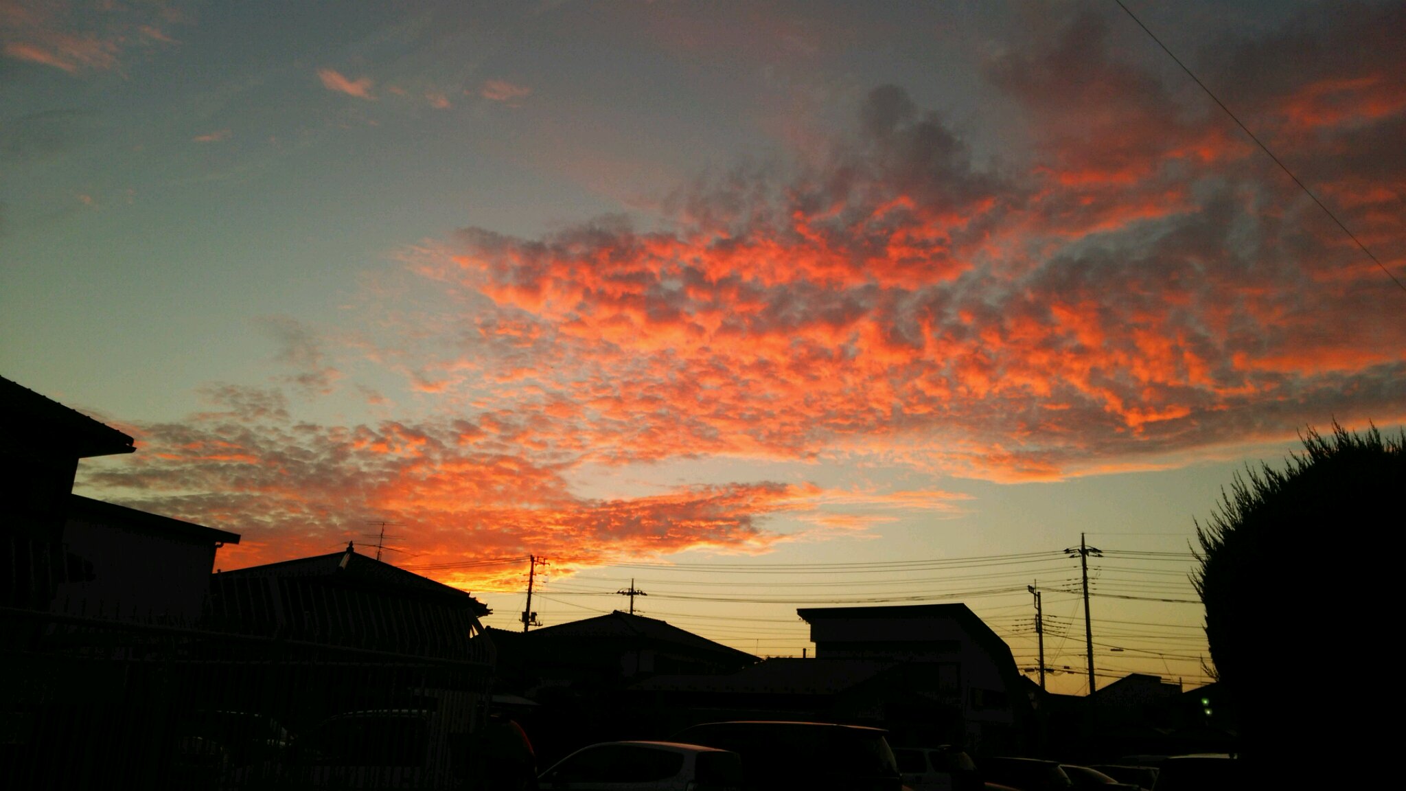 坂戸で、きれいな夕焼け。_e0119092_9551129.jpg