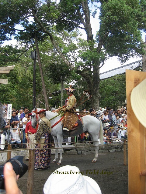 初秋の鎌倉散歩　　③鶴岡八幡宮_c0087094_17525375.jpg