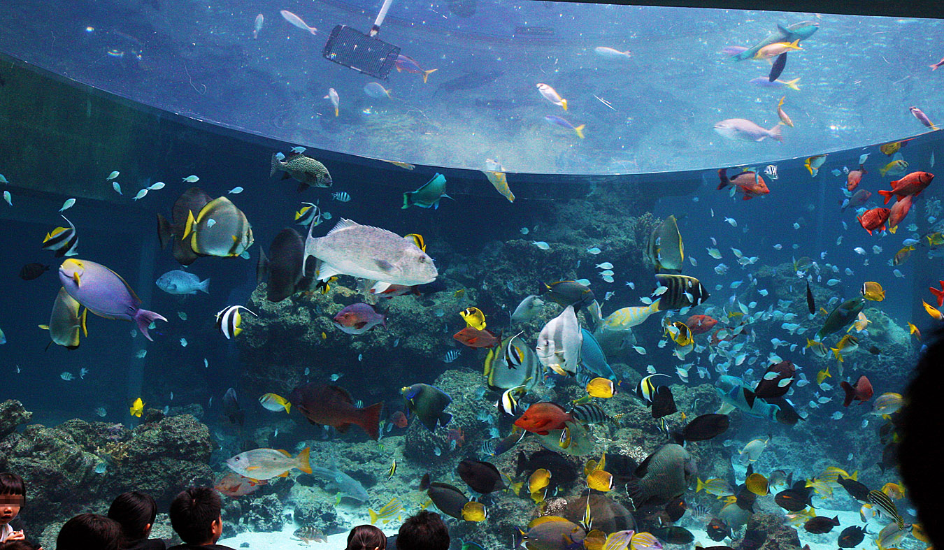 c0025895_2355786.jpg