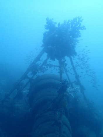 e0115199_20575532.jpg
