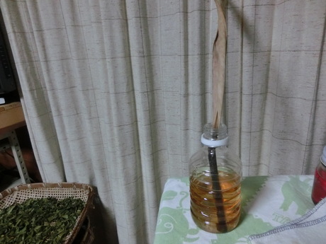 枇杷の葉茶を作る・ほか_a0203003_18582135.jpg