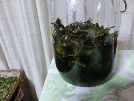 枇杷の葉茶を作る・ほか_a0203003_1858684.jpg