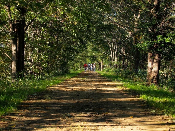 c0223508_15582816.jpg