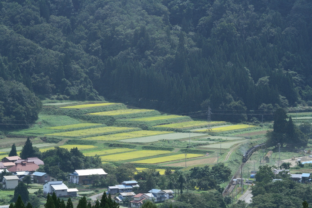 秋の棚田は金色の稲穂と白い蕎麦の花 - 2014年初秋・磐西 - _b0190710_239316.jpg