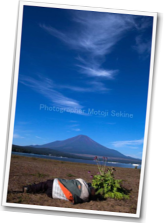 d0160611_7204043.png