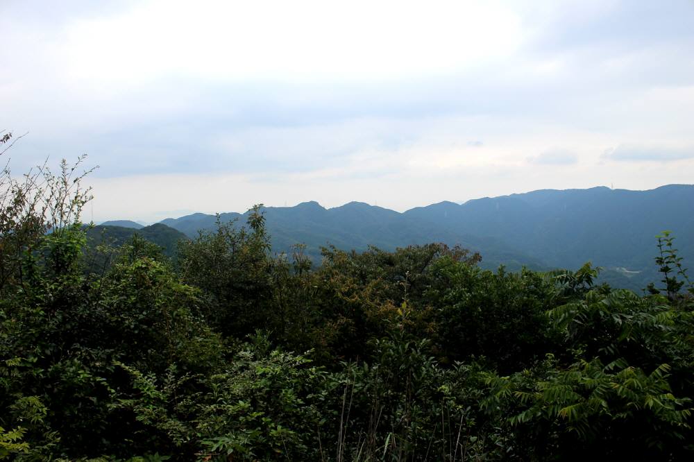 f0212511_19565249.jpg