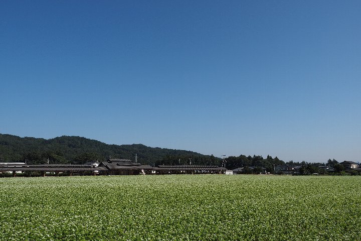 a0268412_22195579.jpg
