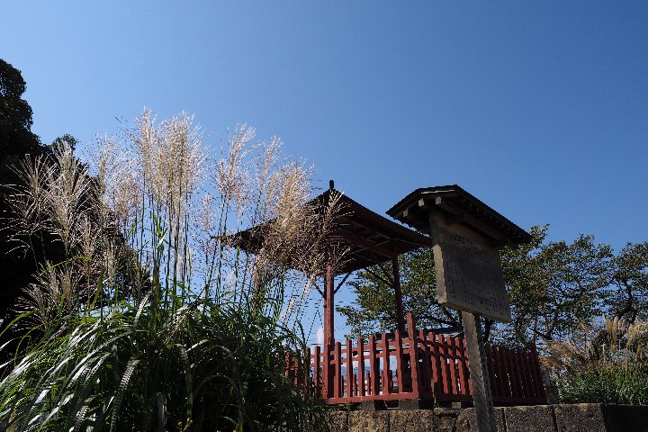 a0268412_2224516.jpg
