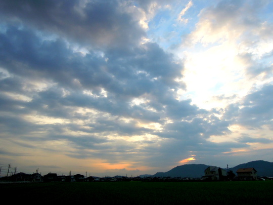 a0158613_1231037.jpg