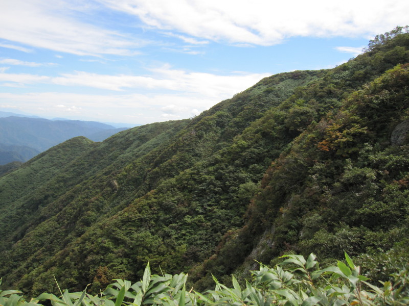 荒島岳『小枝のダム計画＆森林パトロール』レポ_d0103314_22042047.jpg