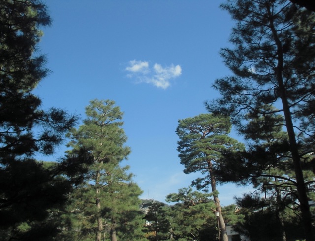 b0181015_21474355.jpg