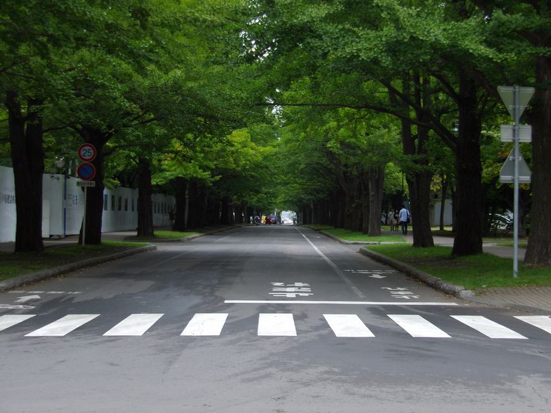 本格的な秋に突入 (開成高校の解体進む)_c0025115_1913688.jpg