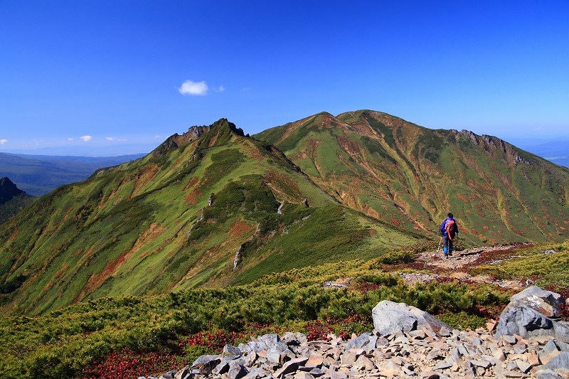 b0243727_1132364.jpg