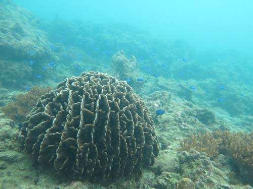 2014年9月22日(月・曇りのち晴れ)甲浦_d0164831_16244837.jpg