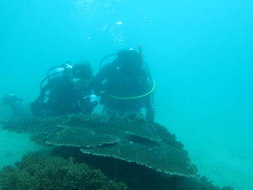 2014年9月22日(月・曇りのち晴れ)甲浦_d0164831_16263164.jpg