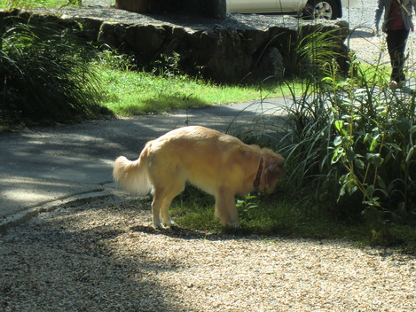 c0236632_817456.jpg