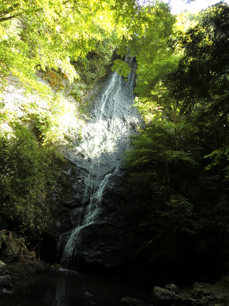 c0236632_8182943.jpg