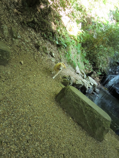 c0236632_82128.jpg