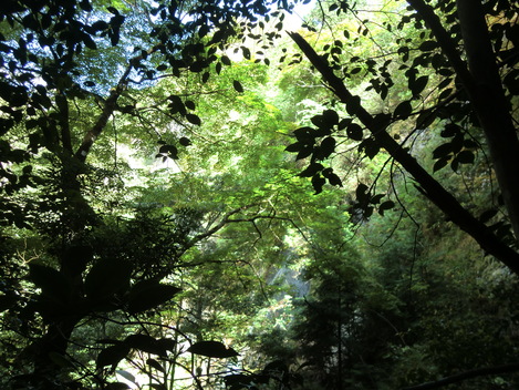 c0236632_8244898.jpg