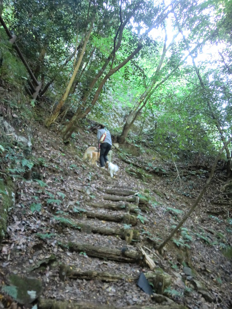 c0236632_824758.jpg