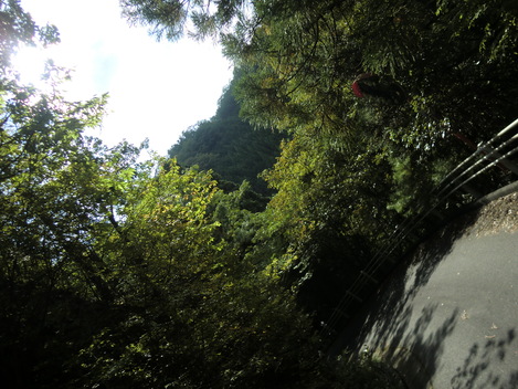 c0236632_8275813.jpg