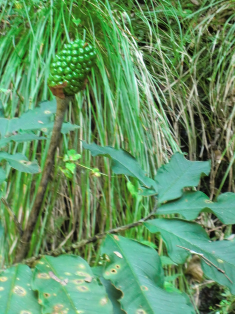 c0236632_8305231.jpg