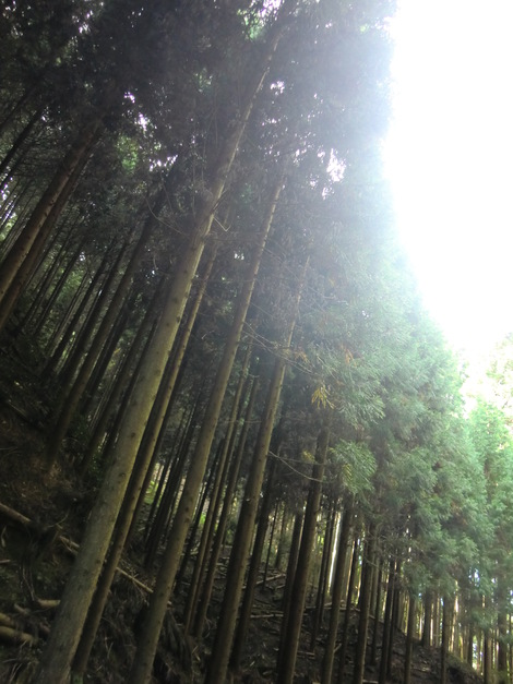 c0236632_832553.jpg