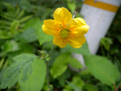 元越山空の公園縦走＆周回_e0272335_149431.jpg